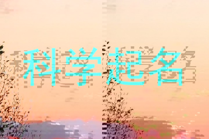 科学起名
