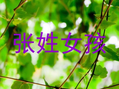 张姓女孩