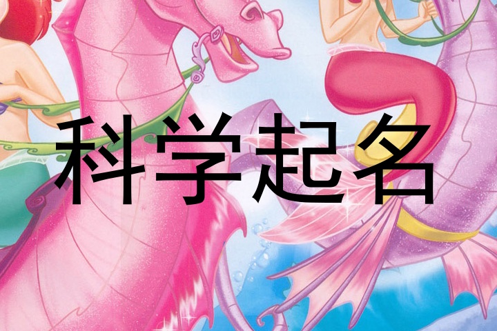 科学起名