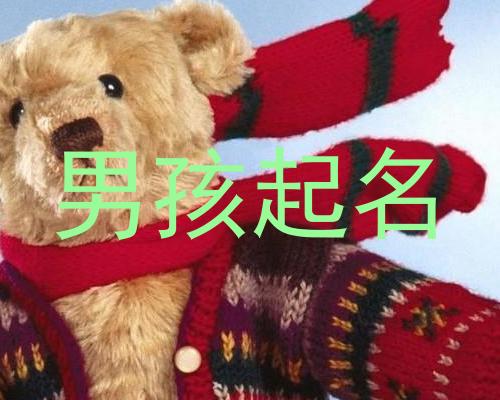 男孩起名