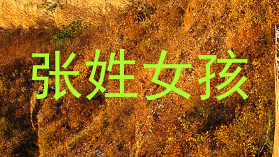 张姓女孩