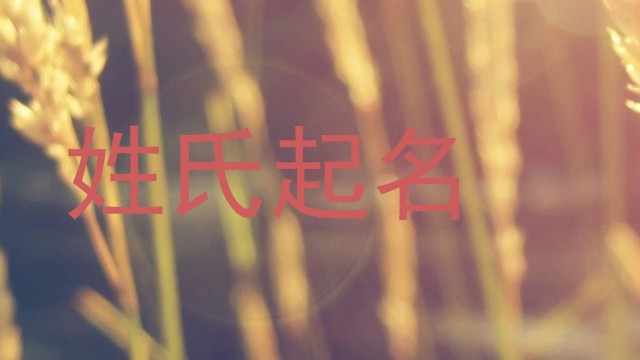 姓氏起名