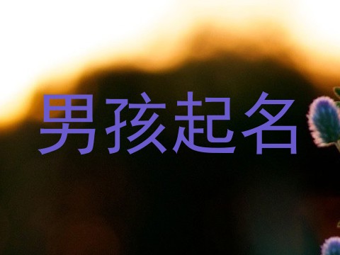 男孩起名