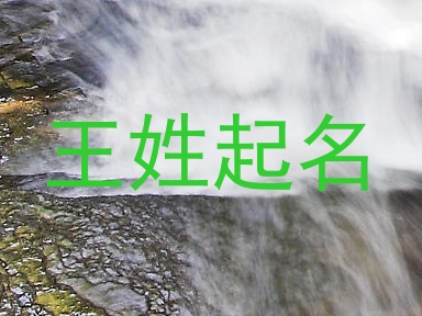 王姓起名