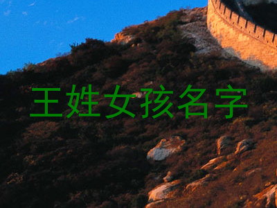 王姓女孩名字