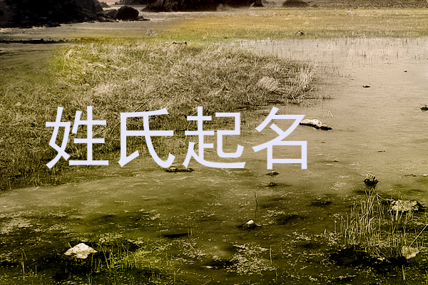 姓氏起名