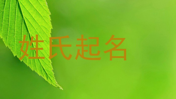 姓氏起名