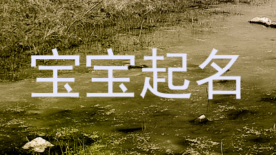 宝宝起名