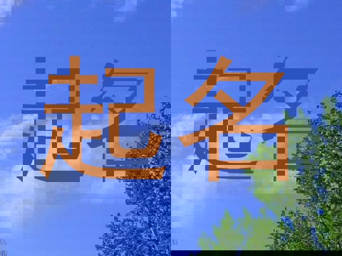 起名