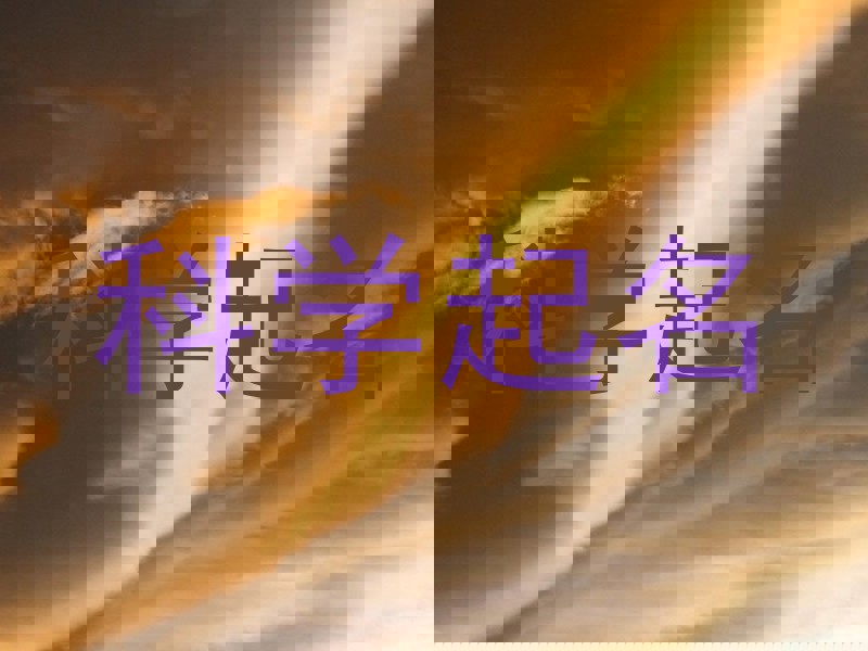 科学起名