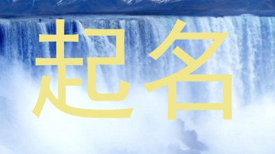 起名