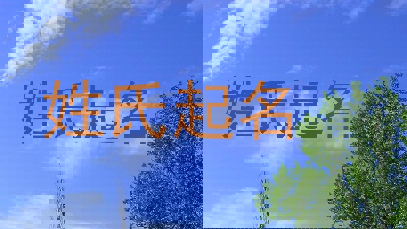 姓氏起名