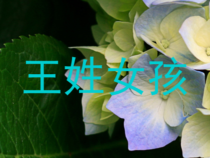 王姓女孩