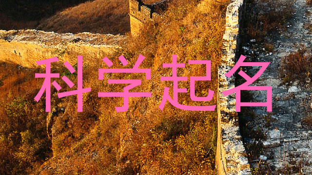 科学起名