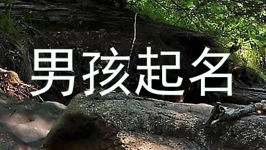 男孩起名