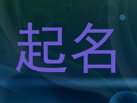 起名