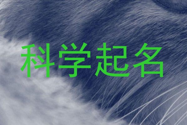 科学起名