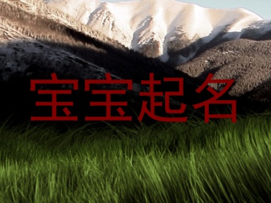 宝宝起名
