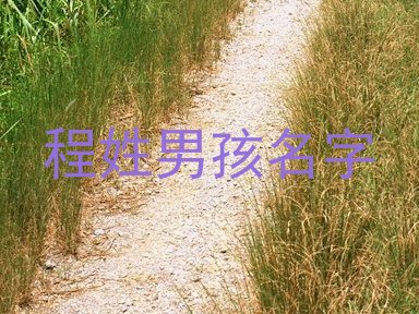 程姓男孩名字