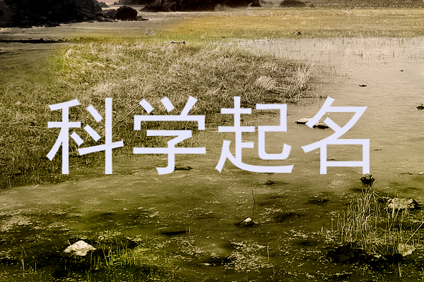 科学起名