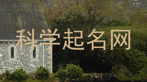 科学起名网