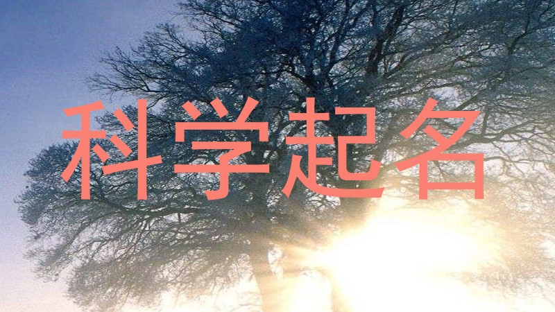 科学起名