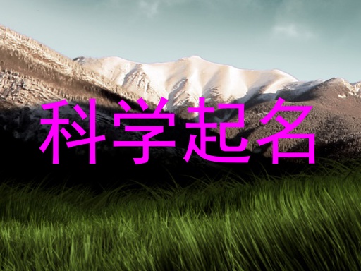 科学起名