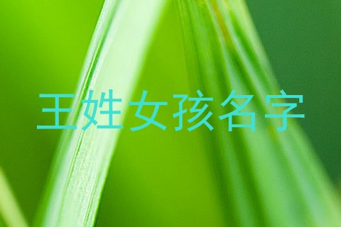 王姓女孩名字