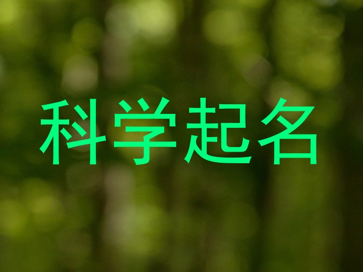 科学起名