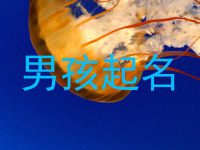 男孩起名