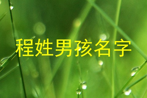 程姓男孩名字