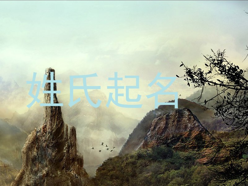 姓氏起名