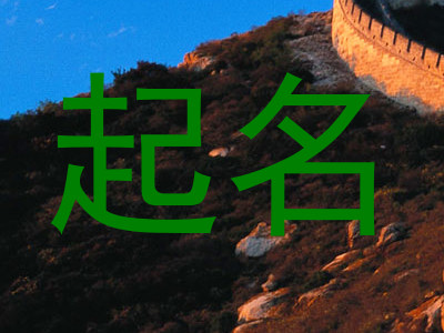 起名