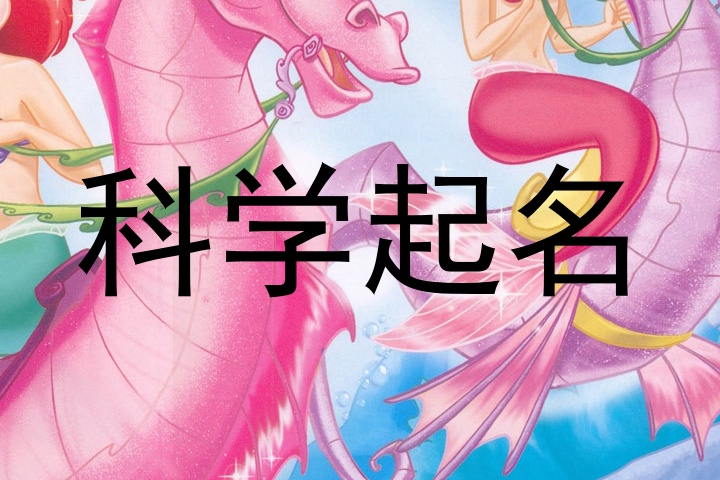 科学起名