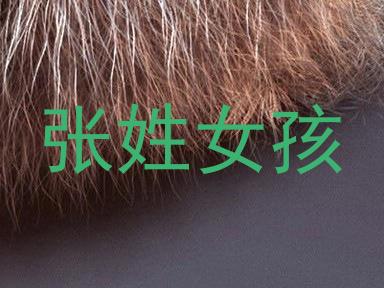 张姓女孩