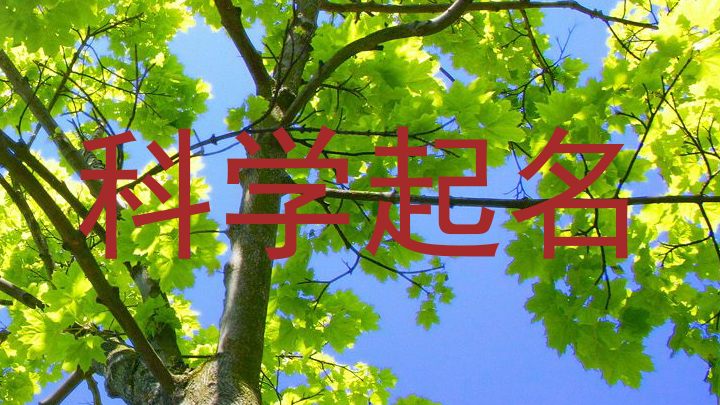 科学起名
