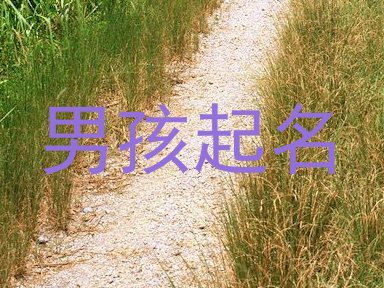 男孩起名