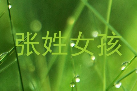 张姓女孩