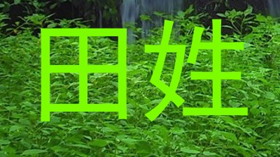 田姓