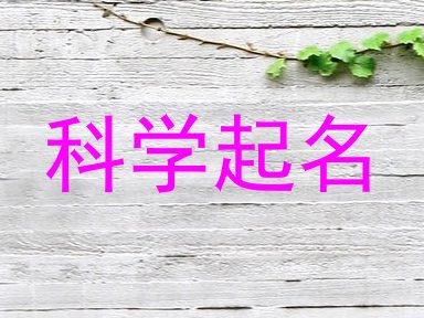 科学起名