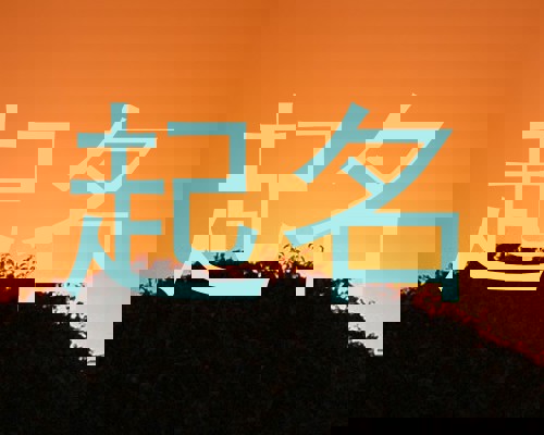 起名