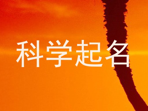 科学起名