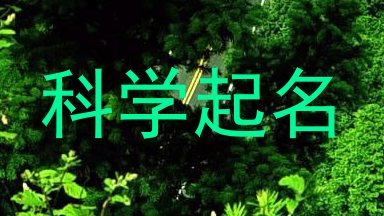 科学起名