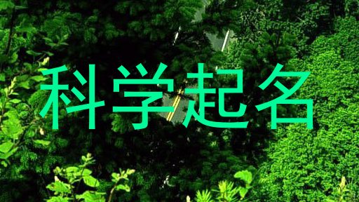科学起名