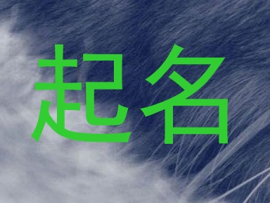 起名