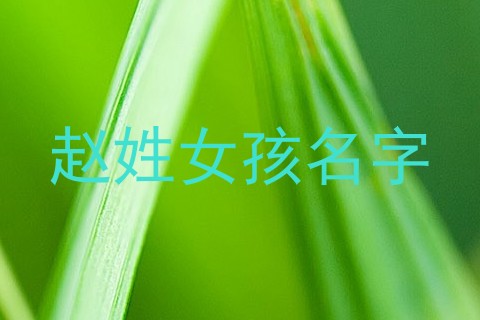 赵姓女孩名字