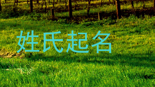 姓氏起名