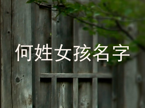 何姓女孩名字