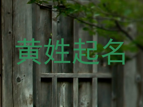 黄姓起名