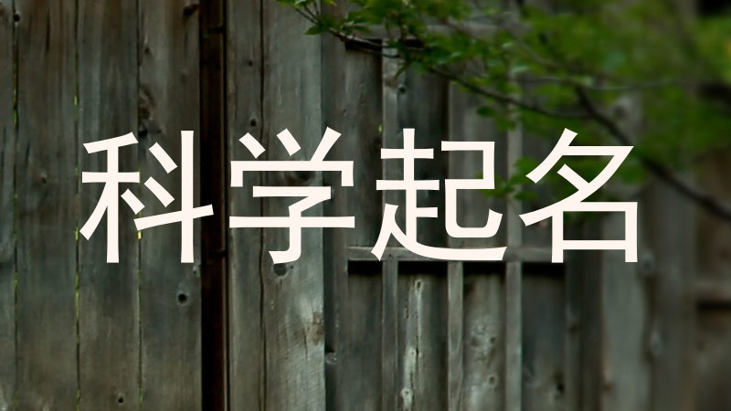 科学起名